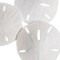 White Finger Starfish and Sand Dollar Collection (3) 4"-6" White Finger Starfish and (3) 3" - 3 1/2" White Sand Dollars Wedding Seashell Craft 1 Pack